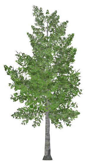 textured_tree